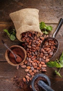 Cocoa Processing