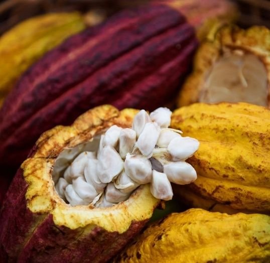Cocoa Beans